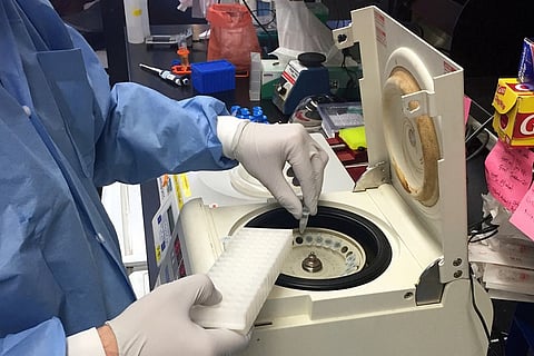 13 Indians infected with Zika virus in Singapore