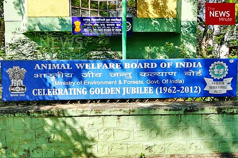 Goodbye, Chennai: Animal Welfare Board announces setting up of Haryana office
