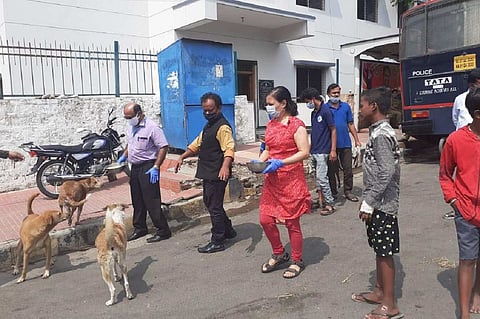 500 stray dogs in Bengaluru's sealed areas fed by govt officials, volunteers