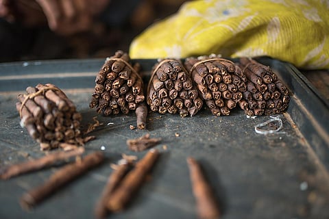 Representative image of beedi