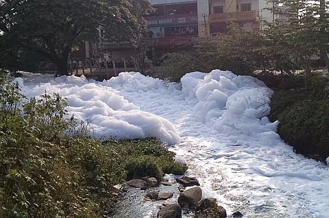 Clean-up custodian to follow Varthur Lake model to stop frothing in Bellandur lake