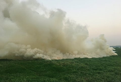 K'taka lake authority only one in the world that causes fire in lakes: NGT 
