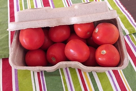 No to plastics: This Bengaluru company makes packaging products from crop residue