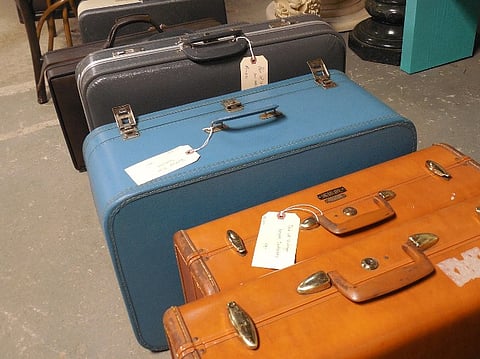From spiders to pythons, passenger at Chennai airport caught with live animals in bag