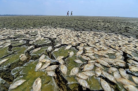 Drought-hit Chennai has 1.3% of water in its reservoirs, one of the lowest in 70 yrs