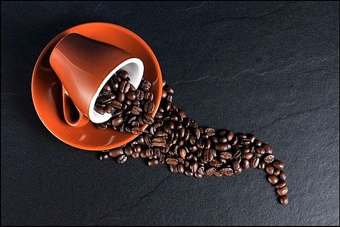 Your love for coffee may prevent risk of Alzheimer's, Parkinson's