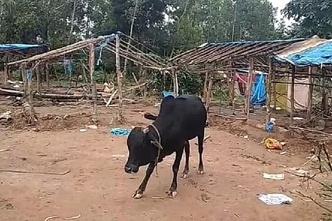 Residents of village in Chikkamagaluru flee after astrologer warns they all will die