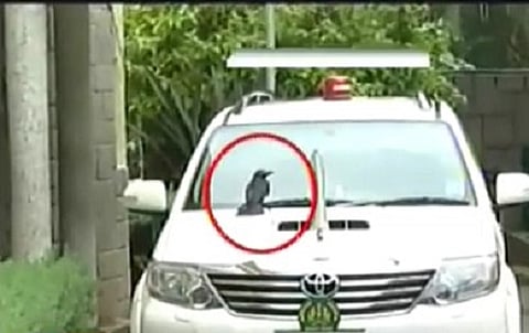 Did a crow force Siddaramaiah to become superstitious? 