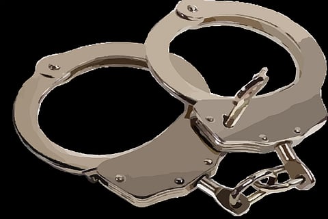 Airhostess held for involvement in red sanders smuggling
