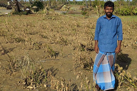 Farmer Ayyappan Rengaiyan