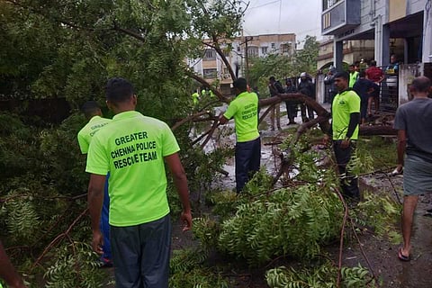 Police personnel clearing fallen trees in Chennai 