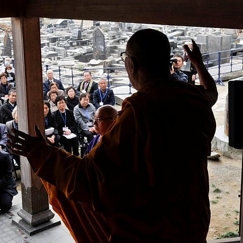 What's the connection between Dalai Lama's abode and cricket?