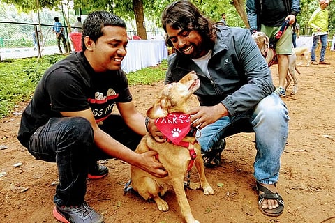 B’luru dog lovers unite to protest in Cubbon Park against BBMP’s new dog licensing rule