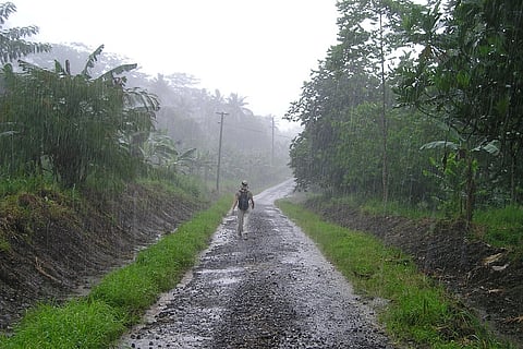 Person walking in the rain