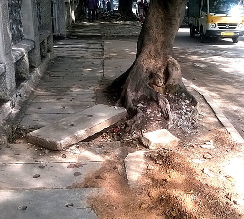 High Court summons BBMP Commissioner over Geethalakshmi's death
