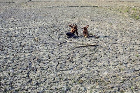Drought-hit Mysuru gets lowest rainfall in 60 years