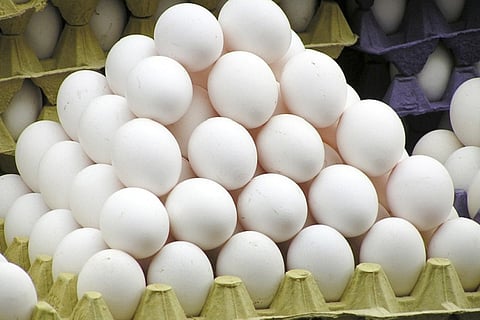 Rattled by the rising egg prices in Bengaluru? They will be back to normal in 6 weeks