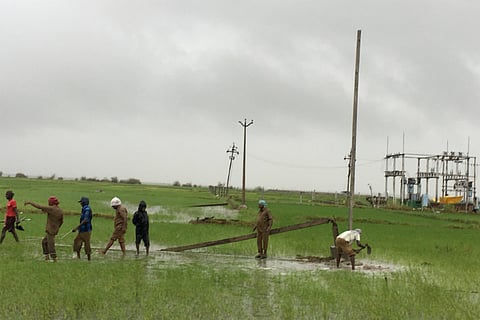 A daunting task: These 300 officials are fixing electricity in Nagapattinam post Gaja