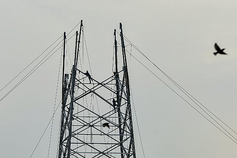 Electricity workers erecting high voltage towers 