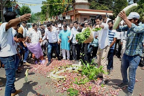Why, despite bountiful harvest, farmers are in despair