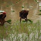 Farmers protest against land pooling in Andhra Pradesh