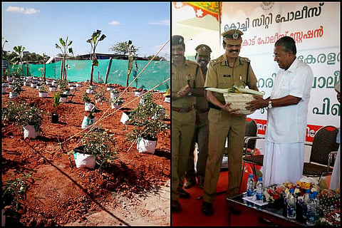 Police stations in Kerala lead the way in organic farming, grow vegetables in compound