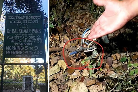 7-yr-old electrocuted to death after he steps on live wire at a Bengaluru park