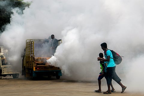 Could the use of a more effective pesticide have reduced dengue cases in Bengaluru?