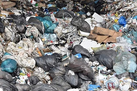 Buying ‘biodegradable’ garbage bags? They may not be as eco-friendly as you think