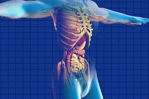 Good health is a good feeling in the gut: How intestinal transplants are saving lives