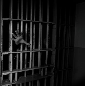 Jailed MLA resigns, says he cannot carry out development