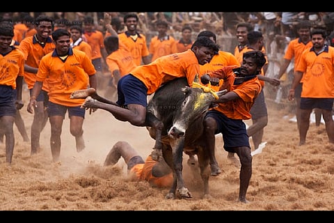 TN party activists held during protest asking for ordinance on Jallikattu
