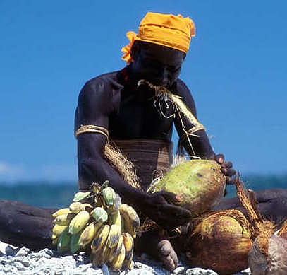 Experts question Reporters Without Borders' defence of Organic Jarawa filmmakers