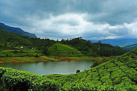 Ten stunning images that bring home the unmatched beauty of Kanan Devan Hills