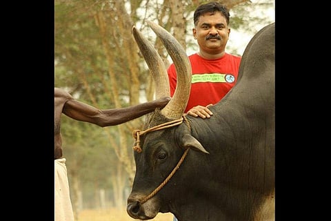Govt cannot be elitist any more: Karthikeya Sivasenapathy, the longtime foot soldier of jallikattu