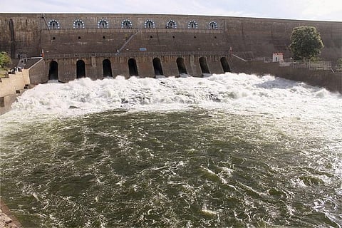 TN's Mettur dam levels higher than 2018, delta farmers are cautious but optimistic