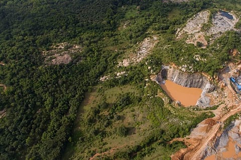 Bannerghatta National Park