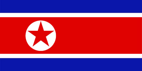 North Korea defence minister reportedly executed for sleeping, disrespecting Kim Jong-un
