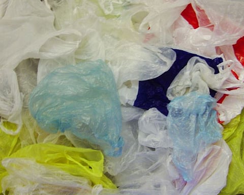 Ban ‘compostable’ plastic bags in Karnataka, says State Pollution Control Board 