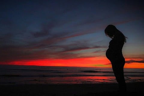 High-fat diet in pregnancy may impact baby's gut, immune system