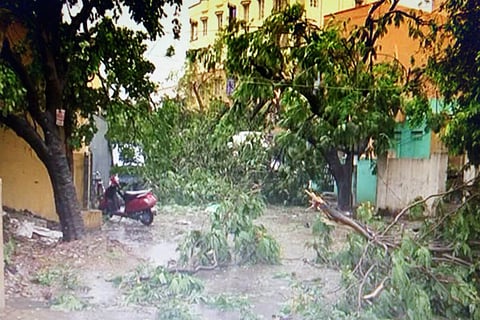 Rains in Kerala claim one life: Woman dies after tree collapses on her 