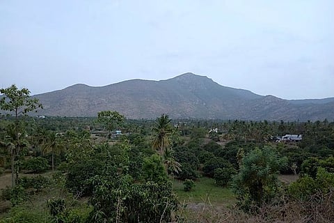 Farmers relieved as Madras HC stops land acquisition for Salem-Chennai expressway