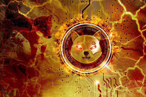Major e-retailers to accept MATIC payments, Japan to invest in metaverse, NFT