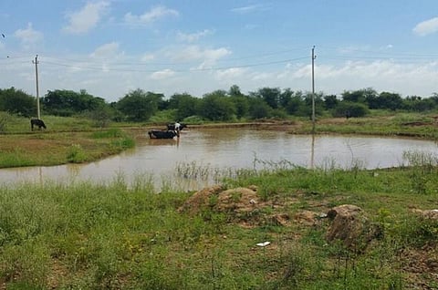 Six lakes in and around Bengaluru adopted by private companies for rejuvenation