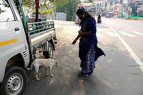 Feeding after sunset: How Kerala is taking care of strays during lockdown