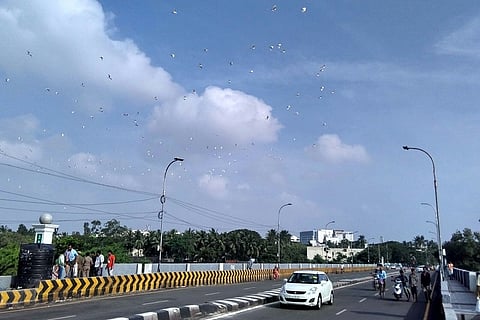 Images: Rise and shine, the sun is out in Chennai