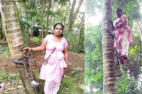 Kerala's 'maram keri': The non-conformist women who climb coconut trees for a living
