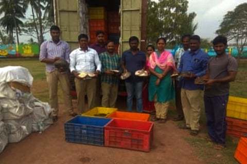 1,600 softshell tortoises rescued from smugglers in Andhra