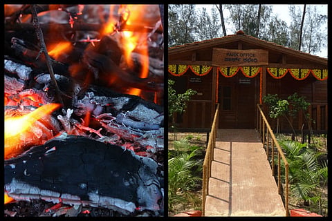 Miscreants set Mangaluru tree park on fire, no CCTV to trace arsonists 