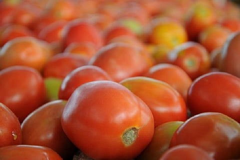 Tomato prices beaten to pulp, down to Rs 5, hitting 10-year low